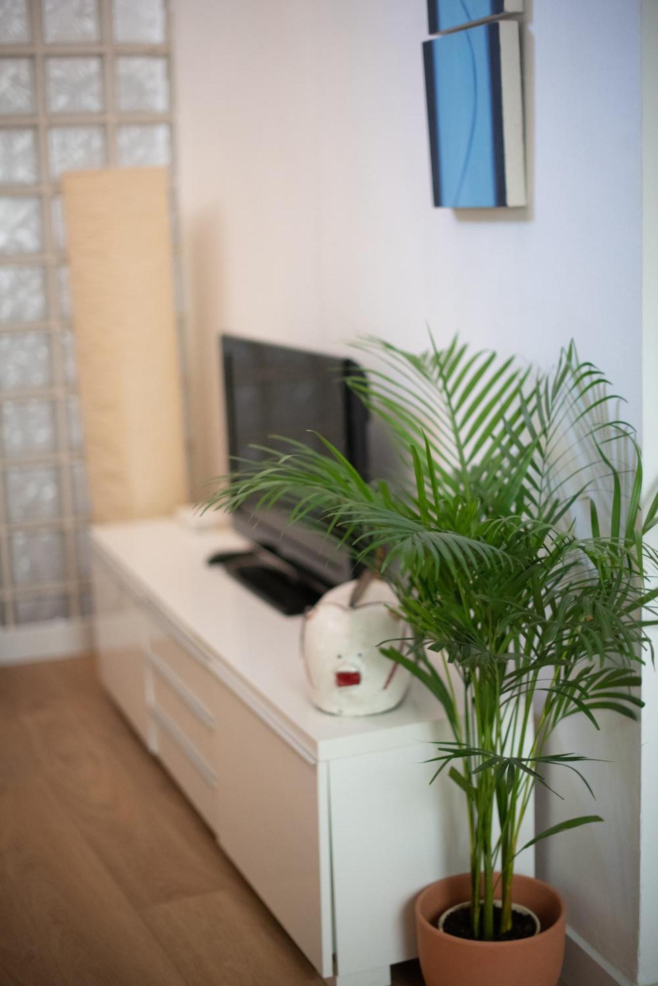 Cozy & Quiet Apartment In The Center 马拉加 外观 照片