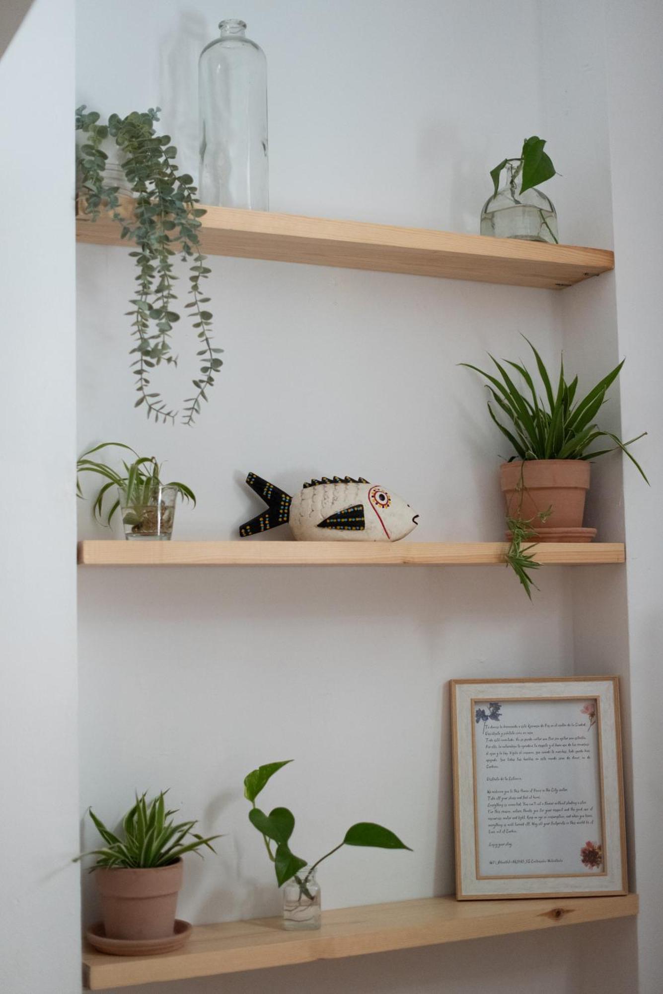 Cozy & Quiet Apartment In The Center 马拉加 外观 照片